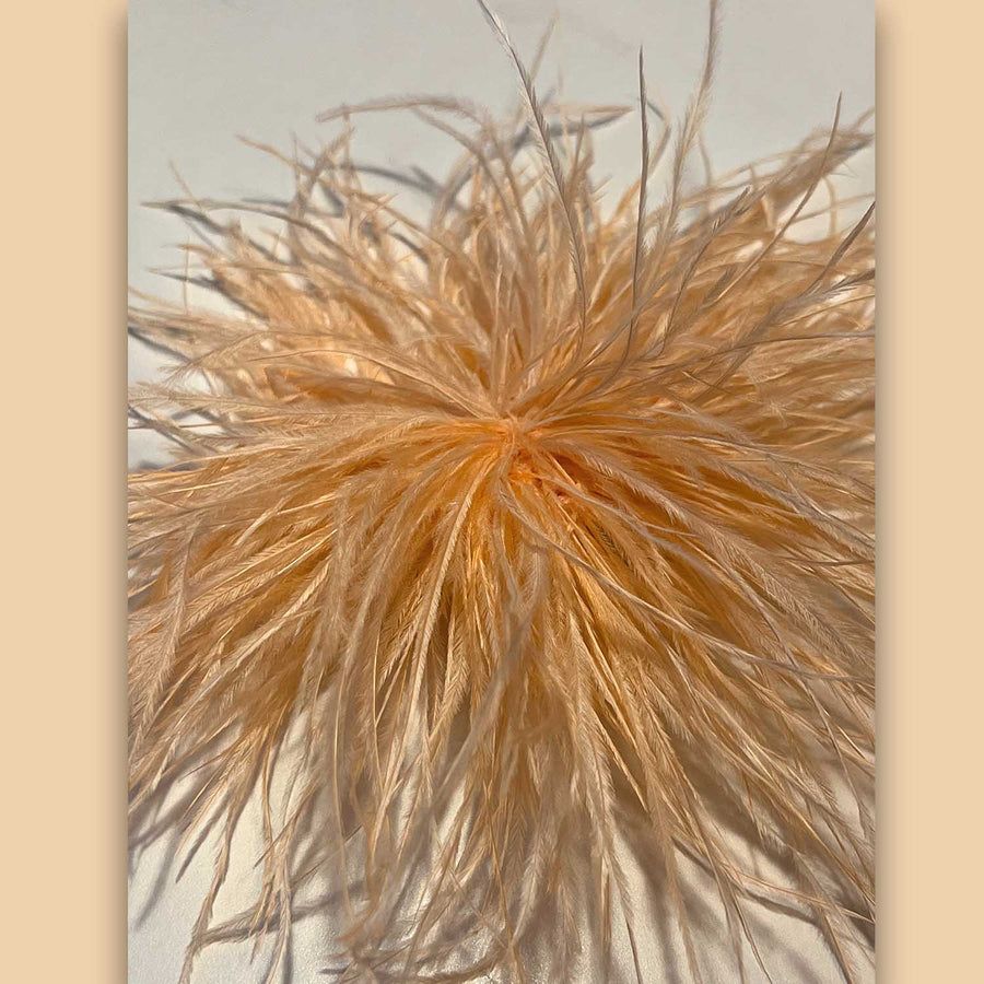 Anstecker Brosche Pin Feder apricot