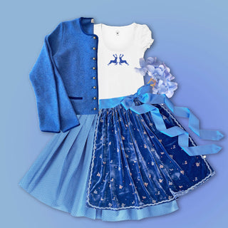 
                    
                      Damendirndl Trachtenrock Tupfen hellblau Samt Seide bestickt blau Shirt Hirsch
                    
                  
