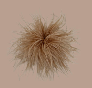 
                    
                      Feder-Brosche-beige
                    
                  