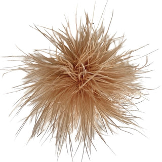 
                    
                      Feder Brosche54
                    
                  