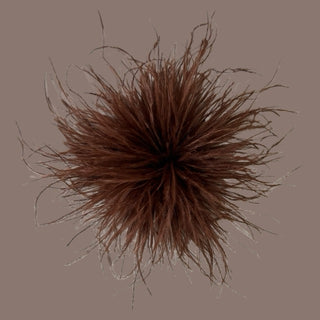 
                    
                      Feder Brosche56
                    
                  