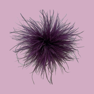 
                    
                      Feder Brosche
                    
                  