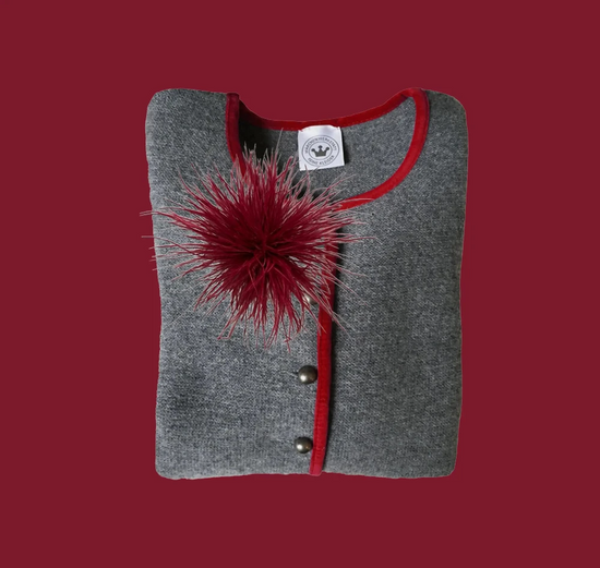 Feder-Brosche- rot