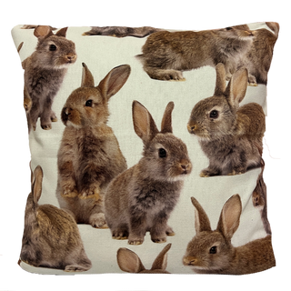 
                    
                      Dekokissen Hase
                    
                  