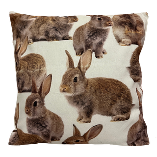 
                    
                      Dekokissen Hase
                    
                  